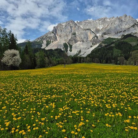 Family Appartment - Dachstein View Ramsau am Dachstein Luaran gambar