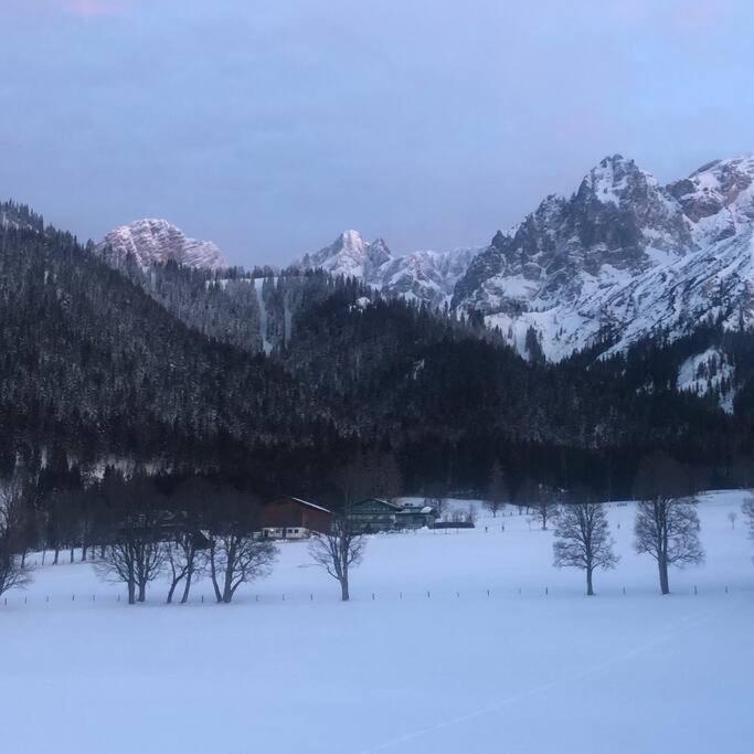 Family Appartment - Dachstein View Ramsau am Dachstein Luaran gambar