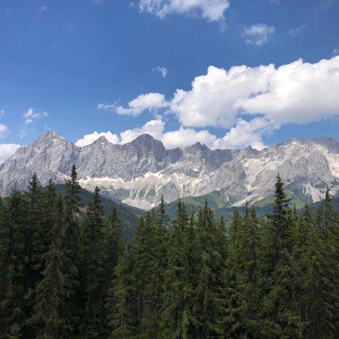 Family Appartment - Dachstein View Ramsau am Dachstein Luaran gambar