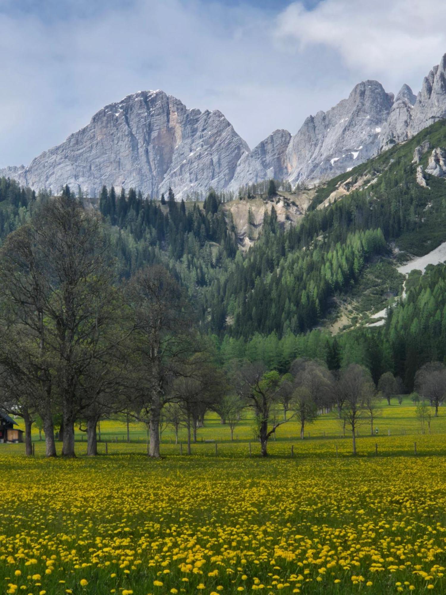 Family Appartment - Dachstein View Ramsau am Dachstein Luaran gambar