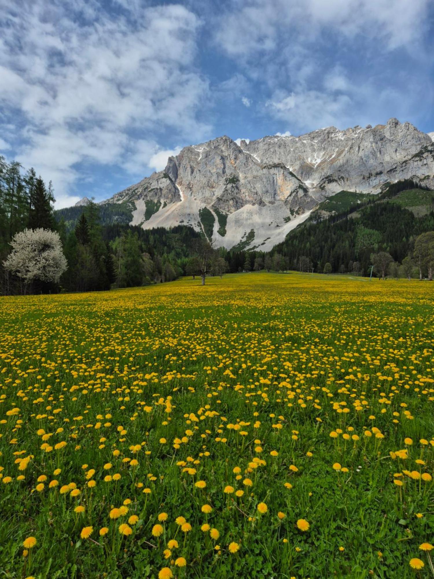 Family Appartment - Dachstein View Ramsau am Dachstein Luaran gambar